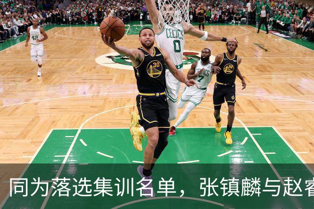 同为落选集训名单，张镇麟与赵睿的境遇差异何在？